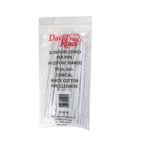 David Ross Blanc Scovholini