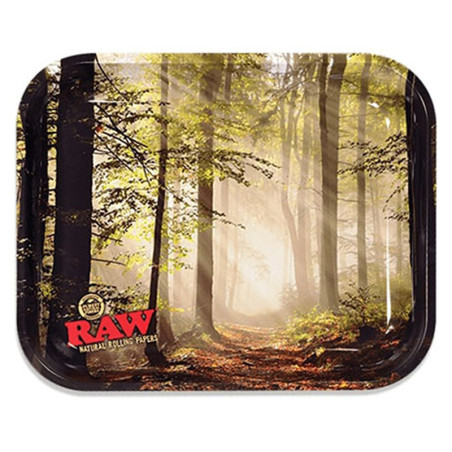 Raw درج غابة كبيرة