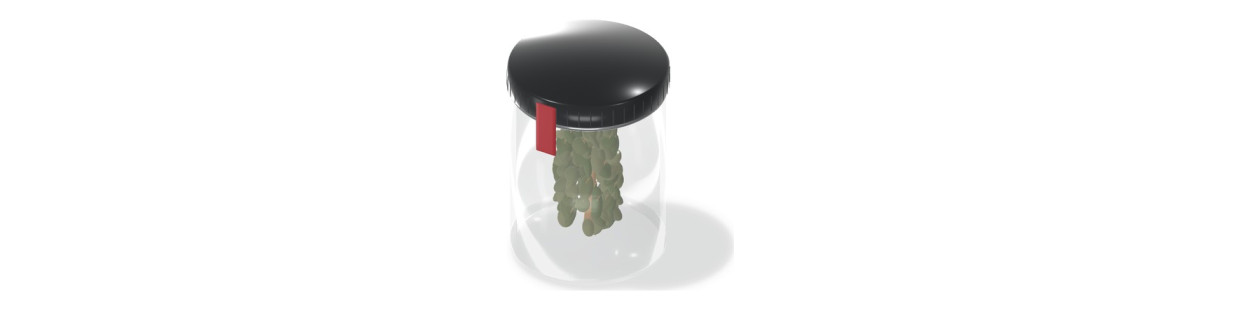 CBD flowers